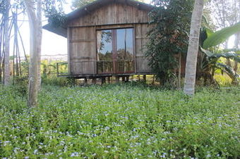 Posada Pepper Farm Phu Quoc Bungalow