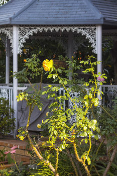 Sparkling Star Bed & Breakfast