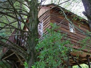 Hotel Sycamore Avenue Treehouses