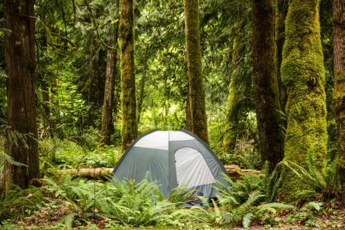 Mount Hood Village Premium Yurt 4