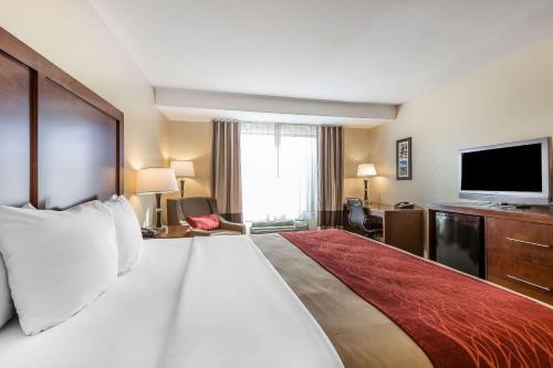 Hotel Comfort Inn Pomona