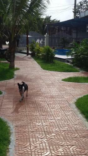 Posada Spayhiti