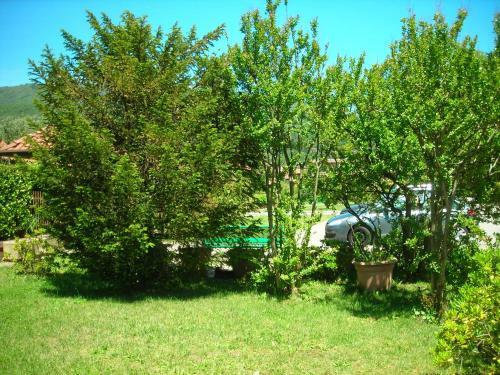 Bed & Breakfast La Folaga