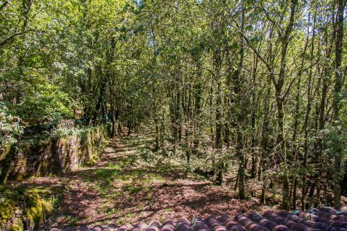 Liiiving In Caminha | Oak Tree Chill House