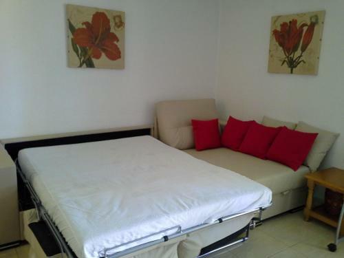 Apartment 241
