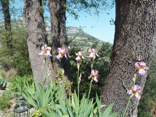 Bed & Breakfast Au Pied Des Baous