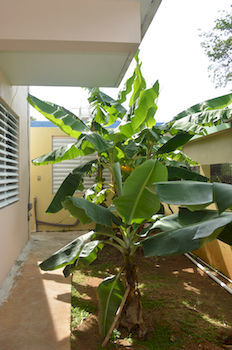 Bed & Breakfast Wssm Surf House