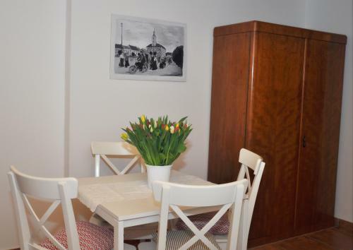 Apartm�ny U Vav?ince