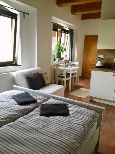 Apartm�ny U Vav?ince