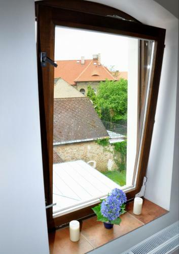 Apartm�ny U Vav?ince