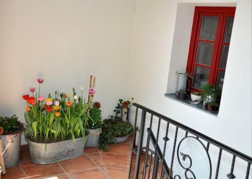 Apartm�ny U Vav?ince