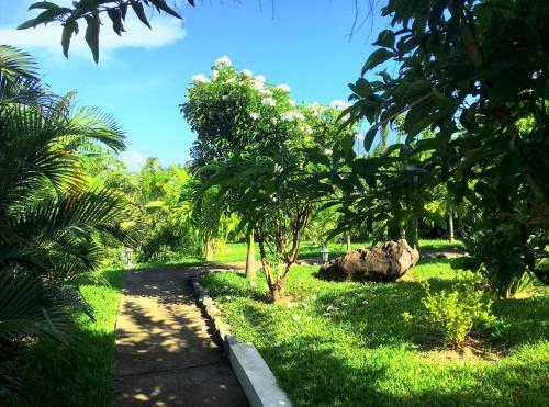Apartamento R�sidence Oasis De Terre Rouge
