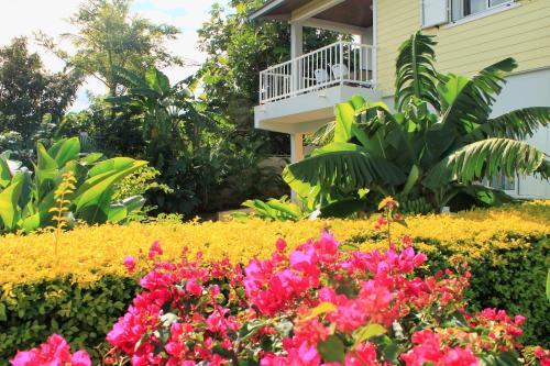 Apartamento R�sidence Oasis De Terre Rouge