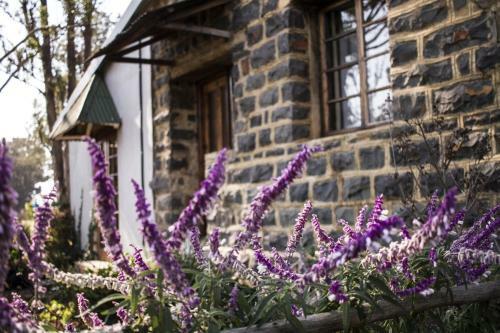 Agroturismo Dalmore Guest Farm