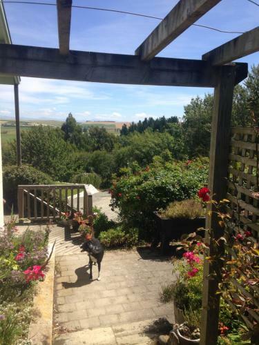 Agroturismo Gumtree Farmstay