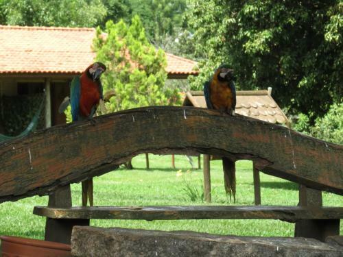 Agroturismo Hotel Fazenda Jaca�na