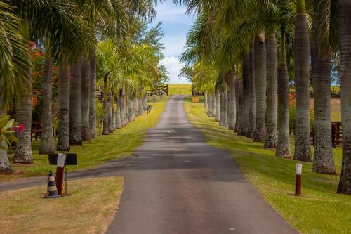 Agroturismo Hotel Fazenda Jaca�na