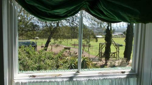 Agroturismo Outeniqua Moon Percheron Stud Farm