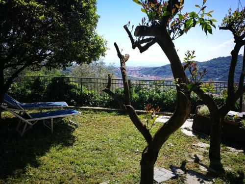 Bed & Breakfast La Terrazza Sui Fieschi