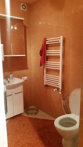 Apartamento Koted?as ?alia Kauno Pilies Prie Senamies?io
