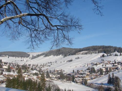 Apartamento Todtnauberg