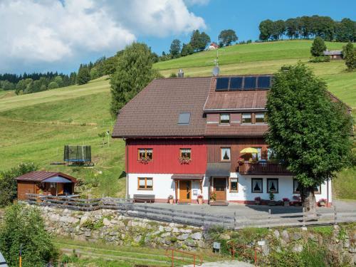Apartamento Todtnauberg