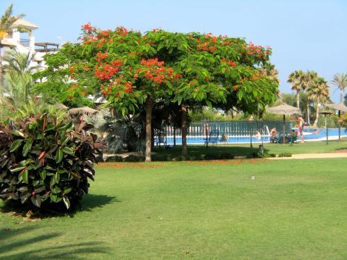 Apartamento Vera Playa Jardines F2-2b