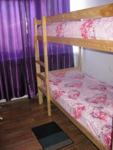 Razliv Zaliv Hostel & Hotel