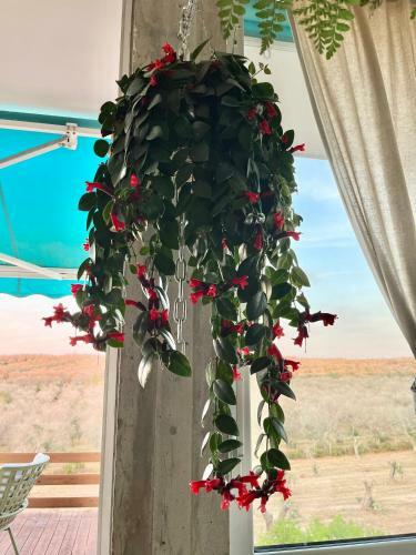 Le Palombelle Casa Vacanze