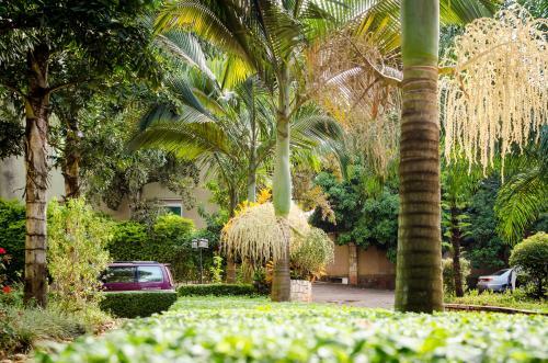 Space Hotel Apartments & Spa