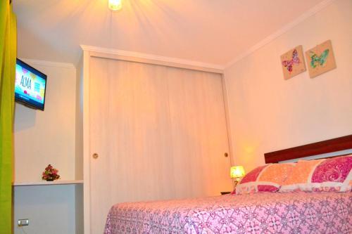 Apartamentos Alma Surire