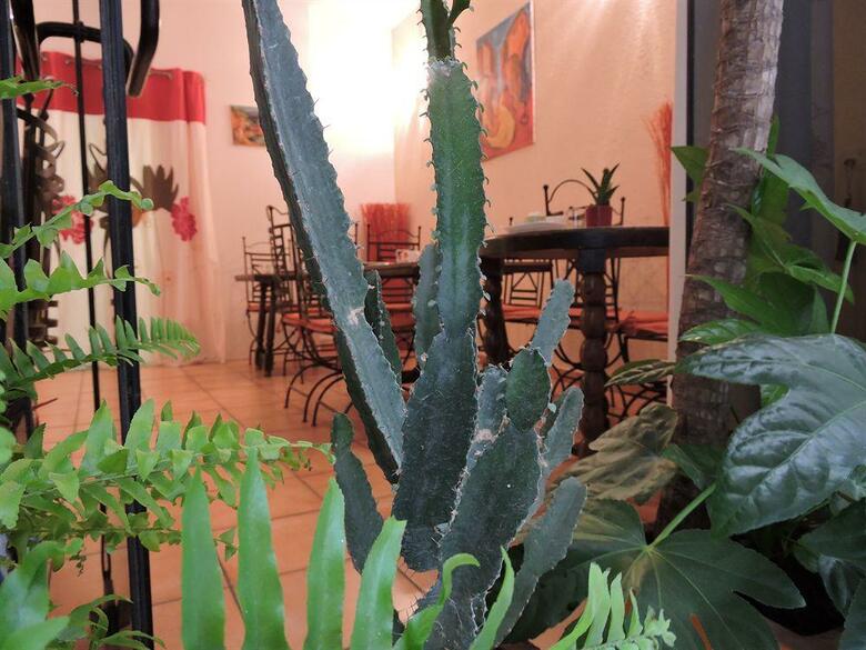 Hotel H�tel De La Loge