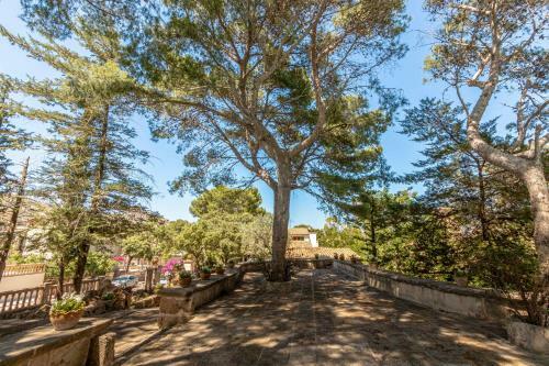 Gran Voramar Cala