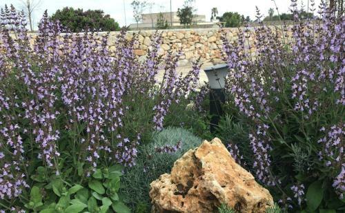 Masseria Gelsi B&B And Events