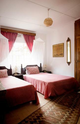 Bed & Breakfast Blues & Chutney Country