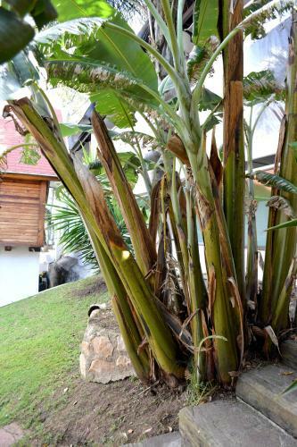 Hostal Caba�as El Chalet