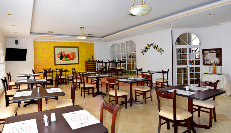 Hotel Plaza Versalles