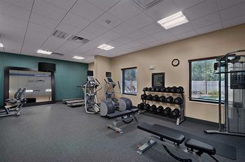Hotel Hampton Inn And Suites Tampa Northwest