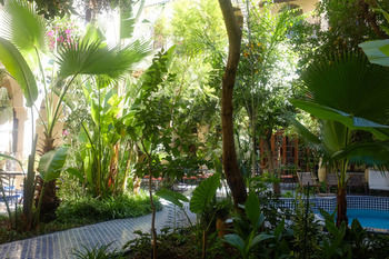 Riad Ryad Salama