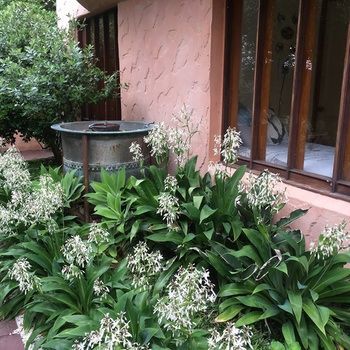 Bed & Breakfast Orewa Beachside