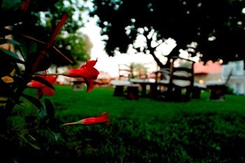 The Grand ��el Hotel