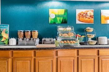Hotel Quality Inn & Suites Airport Bloomington