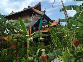 Hotel Mahogany Cottage