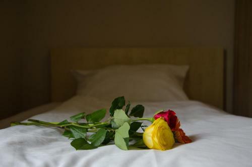 Panorama Hotel Frankfurt Offenbach S�d