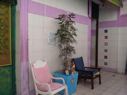 Albergue Hospedaje La Rana