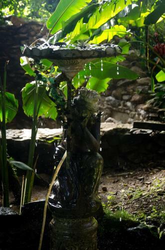 Bed & Breakfast The Secret Buddha