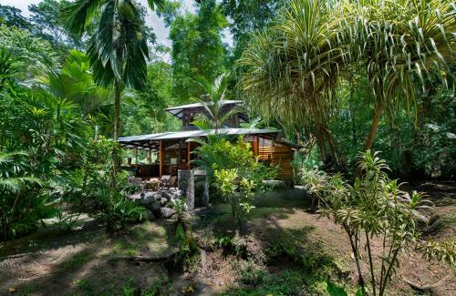 Hostal Congo Bongo Ecovillage Costa Rica