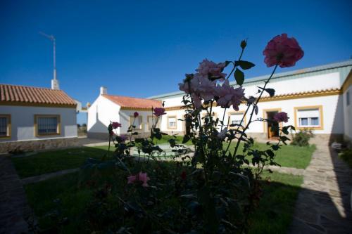 Apartamento El Pozuelo III