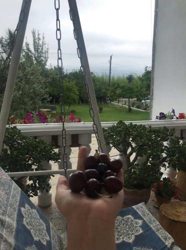 Hostal Sweet Home Near Black Sea