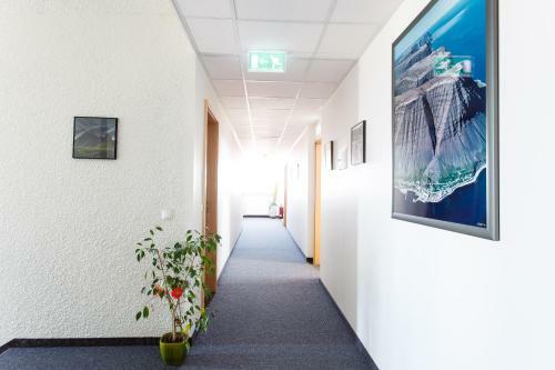 Albergue Route 1 Guesthouse